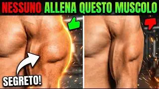 (nuovo studio) MUSCOLO DIMENTICATO del BRACCIO - Allenalo SUBITO con questi 5 ESERCIZI