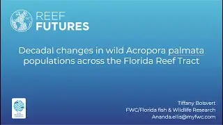 Decadal changes in wild Acropora palmata populations across the Florida Reef Tract