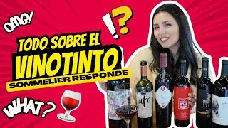 ALL about Red Wine 🍷 | Sommelier answers 10 questions 🤩 | #YoSommelier
