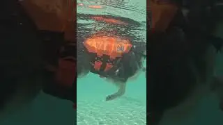 Swimming in Protector life jacket