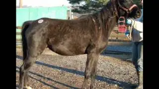 Days End Farm