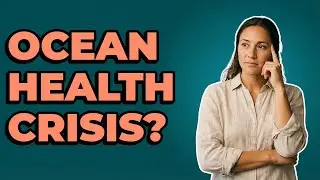 What Causes Weak Immune Systems in Marine Animals?