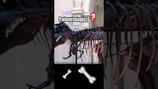 🦖🦴 What is a Paleontologist? What is Paleontology? Paleontologist & Fossils #paleontology #history