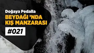 Beydağı'na Çıkarken Köpekler Saldırdı