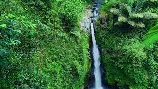 Water Drop Ambiance - Sleep and Lucid Dream with Nature's Lullaby