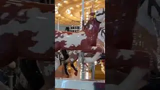 #carouselride #rides #carousel #horse #horseriding #shorts #satisfying #short #shortsvideo #viral
