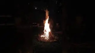 Night Of Flames 🔥 #BonfireVibes #FireMood #LitNight #GlowNight #FireVibes #IgniteTheNight