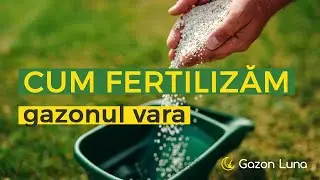Ce &icirc;ngrășăminte pentru gazon folosim vara?