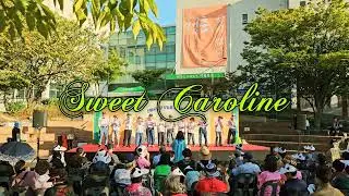 [올드팝송] #Sealed_with_a_Kiss #Sweet_Caroline #청춘, 끝이 없다 #So_Good #울산북구노인복지관