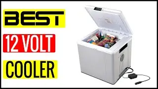 ✅  Best 12 Volt Cooler For Camping In 2023 🏆 Top 5 In The Market