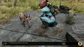 Fallout 76 PVP: Half built PA build putting in work!