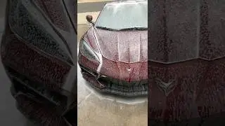 C8 Foam Cannon Car Wash