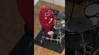 This cat can play! #nyangostar #drummer #ゆるキャラ #にゃんこスター