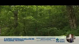 Freedom at the Foothills: Unrestricted East Tennessee Heaven in Grainger County TN- Owner Financing