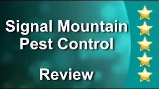 Signal Mountain Pest Control Signal Mountain Incredible Five Star Review by Brenda Hill