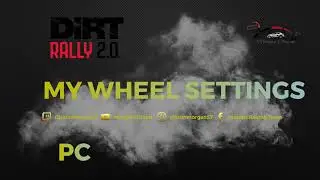 DiRT Rally 2.0 | My Wheel Settings | Logitech G29 | PC
