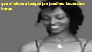 Siirbbajalaala kuumalee boruu ya shakoora laagaa