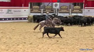 Metallic Mocha   2018 NCHA Futurity   Amateur 1st Go Greg DeLong