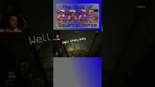 Go watch my 2025 Montage (please) #squirrelhorse #gaming #ironlung #tokyojungle #outlast #bestof2025