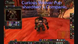 Wow 3.2 PTR (Build 10026) - Vanity Pet - Curious Wolvar Pup