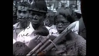 L.A. Salami - The Cage (Official Video)