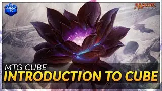 Beginners Guide To MTG Cube - The Best Limited Format in Magic!