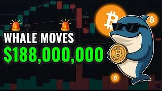 Bitcoin Whale Just Moved $188,000,000!🚨WHALE ALERT