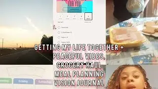 GET MY LIFE TOGETHER + PEACEFUL VIBES, GROCERY HAUL, MEAL PLAN, & VISION JOURNAL