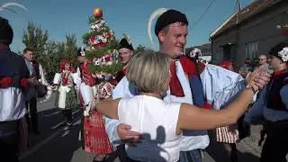 Hody Mikovice 2019