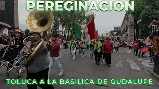 Peregrinación a la Basílica | Diócesis de Toluca