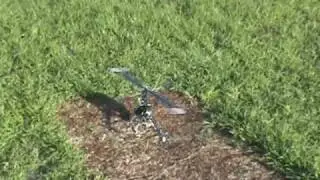 Trex 450SEV1