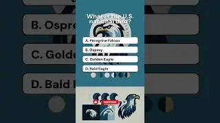 🇺🇸 Test Your USA Knowledge! | 5 Fun American General Knowledge Quiz Questions