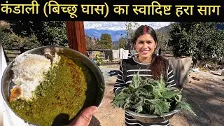 ससुराल वालों ने पहली बार खाया स्वादिष्ट बिच्छू घास का हरा साग || Pahadi Village Lifestyle Vlog 