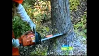 Maranda Where You Live - Log To Lumber - entire show - 10-23-2014