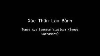 X&aacute;c Th&acirc;n L&agrave;m B&aacute;nh - Ave Sanctum Viaticum