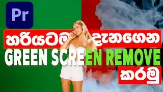 How to remove green screen in premiere pro Sinhala |Green Screen  Video Editing Tutorial.