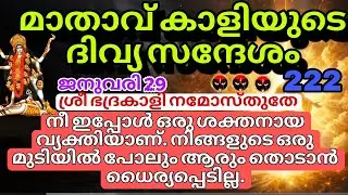 നിങ്ങളെ വേദനിപ്പിച്ചവർക്കു കർമ്മഫലം തുടങ്ങി ദൈവിക സംരക്ഷണത്തിലേക്കുള്ള നിങ്ങളുടെ ഉയർച്ച Kali message
