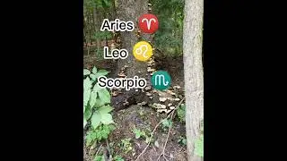 Top 5 most fearless ZODIAC SIGNS