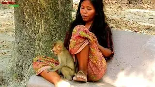 Orphan baby monkey Axel so excited, Axel needs a lady grooming