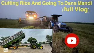 Rice Cutting By Harvester And Going to Dana Mandi (Full Vlog)