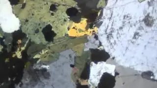 Granodiorite (XPL)