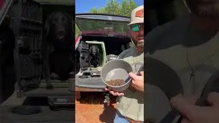 Buy 2 Bowls, Get a Free Food Scoop