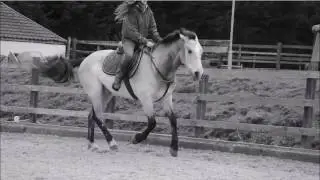 Tribute to the beautiful fudge, fly high pretty boy 2008-2017