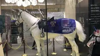Tokyo Daimaru department store showed a white horse robot at JRA event.