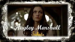 Tribute to The Originals' favourite Lil Wolf - The best of Hayley Marshall