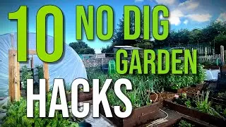 10 No Dig Gardening Tip and Hacks Easy No Dig Garden Method Simple No Dig Gardening