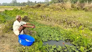 Fishing Video || Grandpa is constantly teaching everyone how to catch fish using new techniques