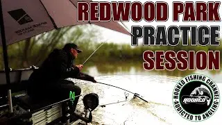 Match Fishing Practice Session - Redwood Park - Redwood Lake