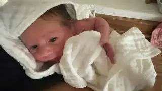 Baby Hooded Bath Towels