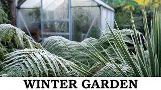 172. Freezing Temperatures, Garden Centre Visit & Free Coffee & Cake For Two 